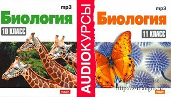 �������� 10 - 11 �����. (���������, ������� ����, 2008 �., 128, MP3)