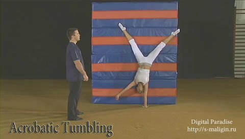 �������������� ������ / Acrobatic Tumbling (���������, DVDRip, ENG)