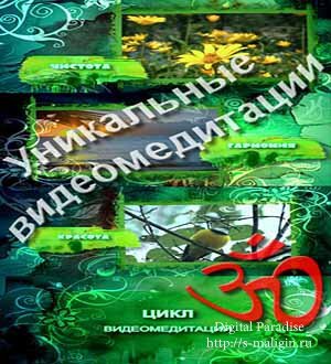 ���� ��������� �������������� (2011, ���������, HDRip) �. ������������