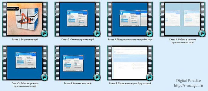 ��������� TeamViewer 6 (2011)